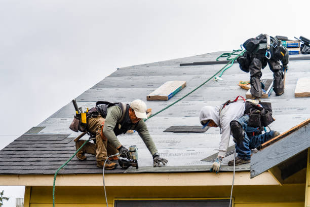 Professional Emergency Roof Repair technician working in Burnt Ranch, CA